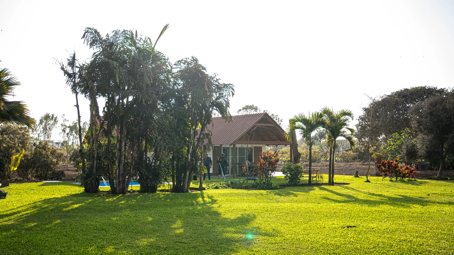 Jardines y exterior del bungalow privado Cinco Olivos en Pachacámac