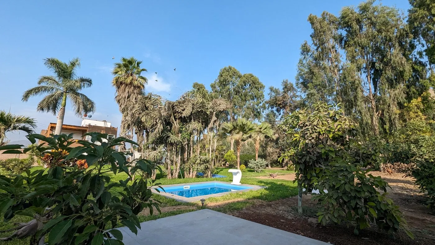 Bungalow Cinco Olivos