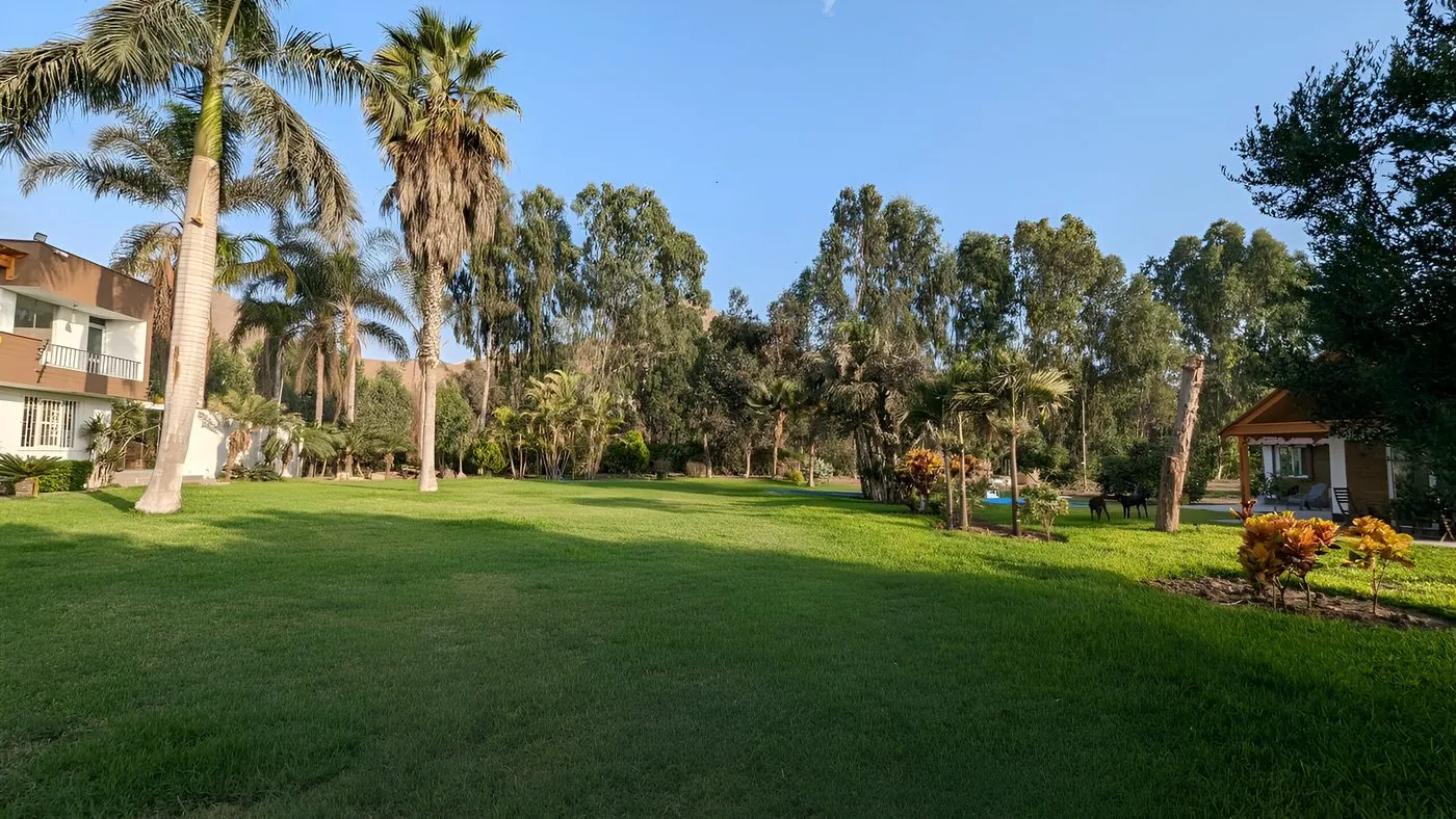 Jardín Cinco Olivos