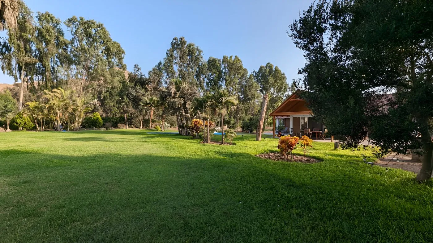 Jardín Cinco Olivos
