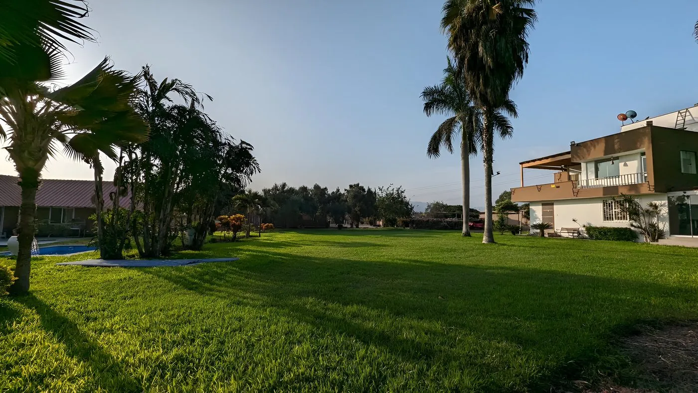 Jardín Cinco Olivos